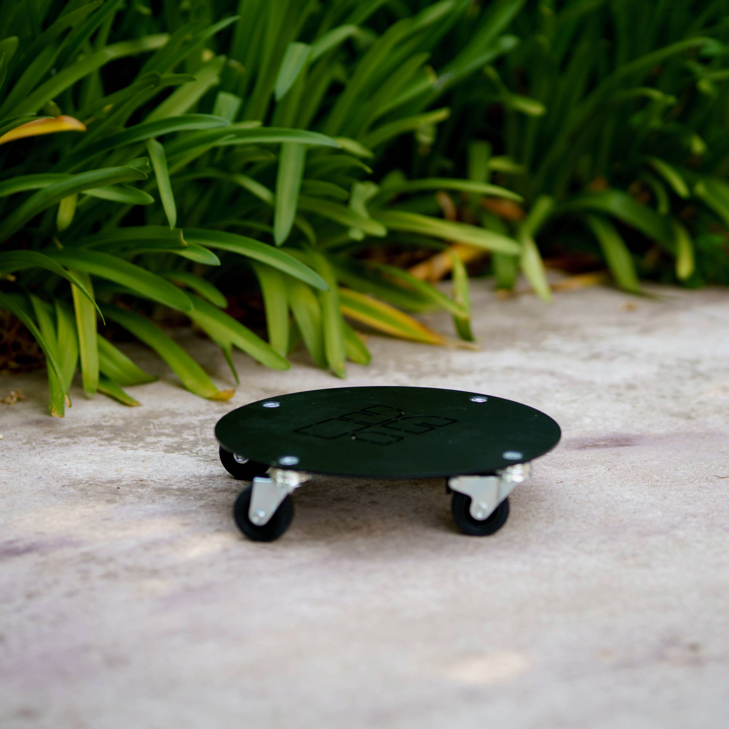 Carrelli portavasi rotondi