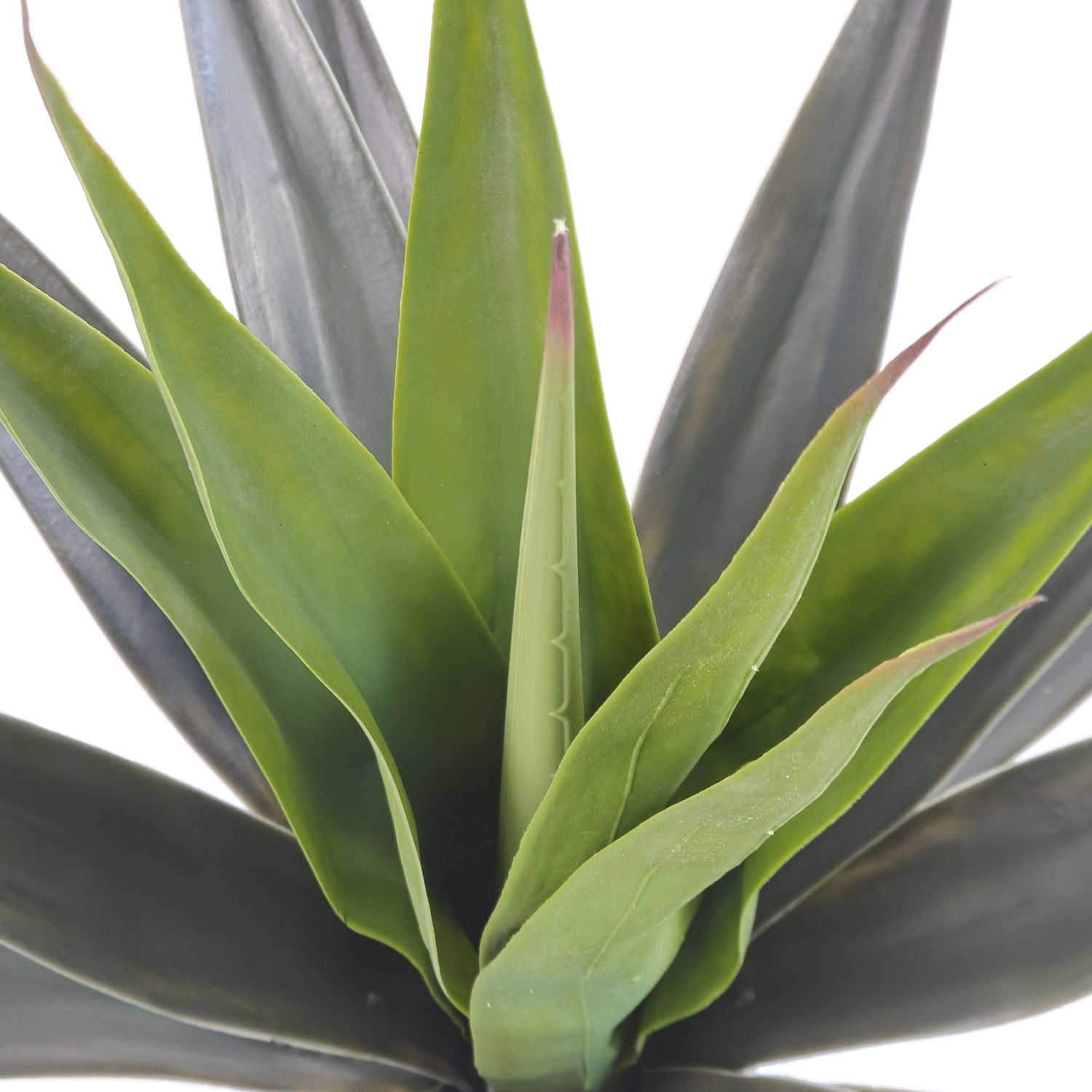 Pianta artificiale per interno Agave verde cm 70 con vaso