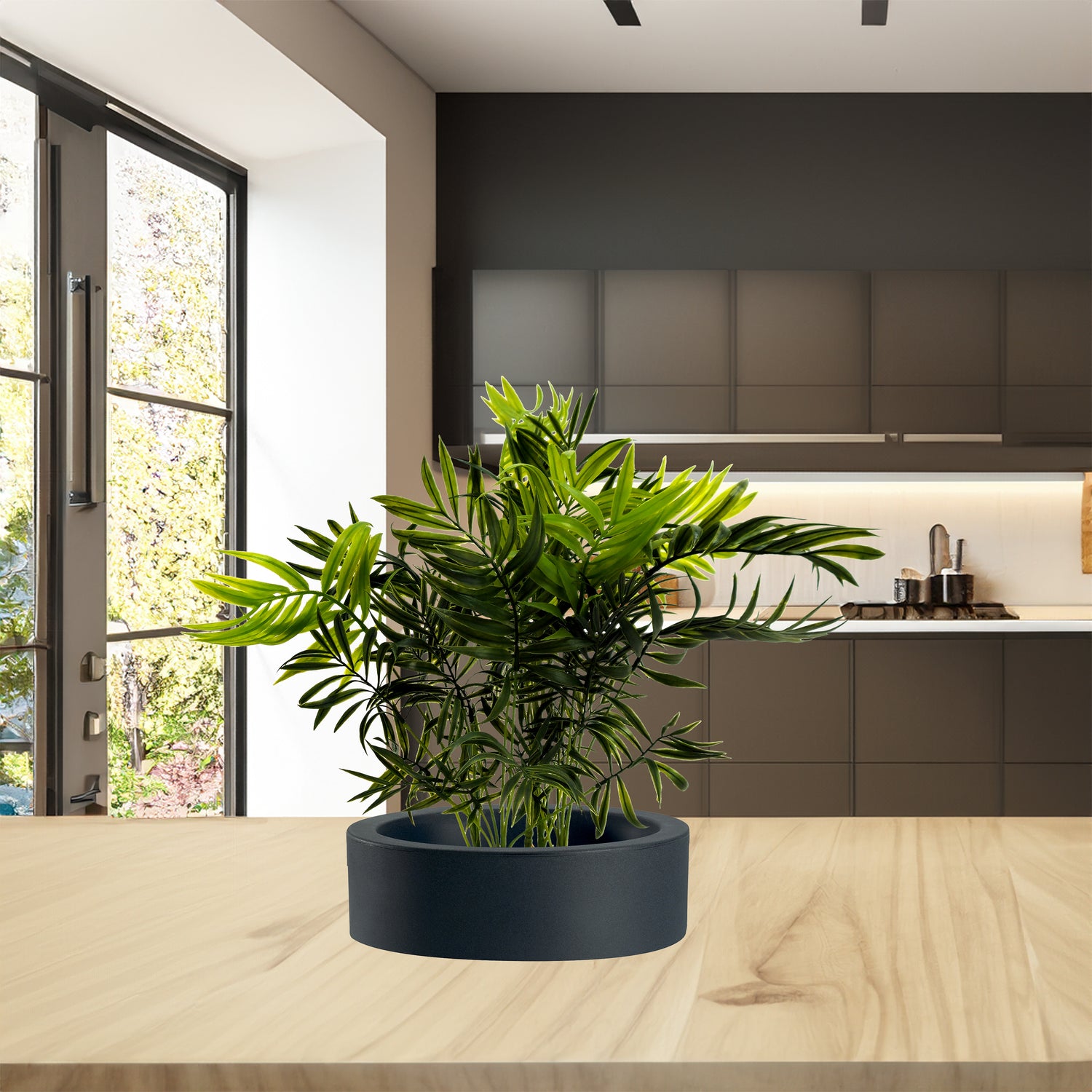 Pianta Palma nana Chamerox 53 cm