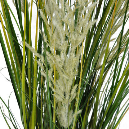 Pianta Pampa Cortadeira 110 cm