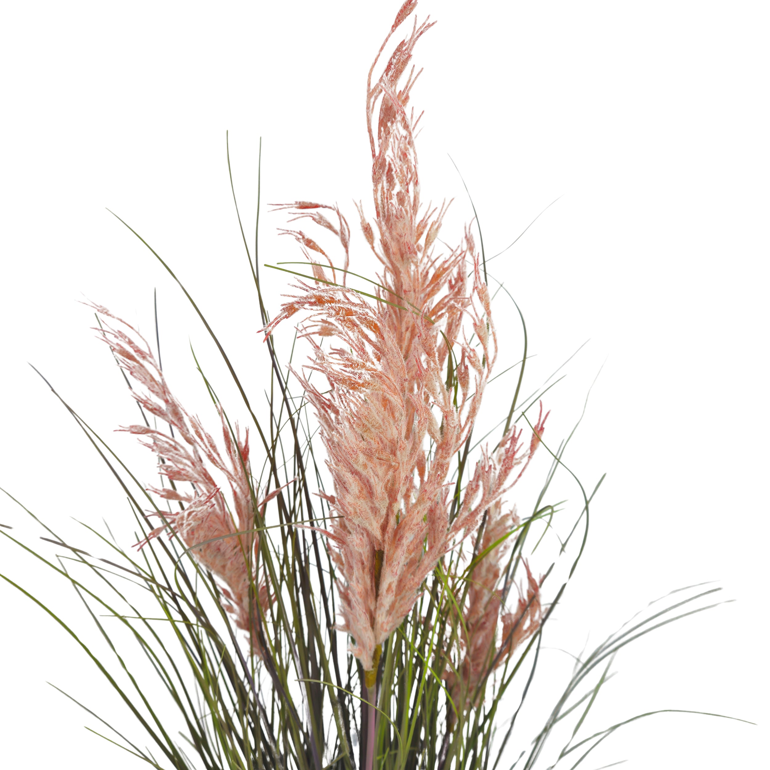 Pianta artificiale Pampa cortaderia 120 cm