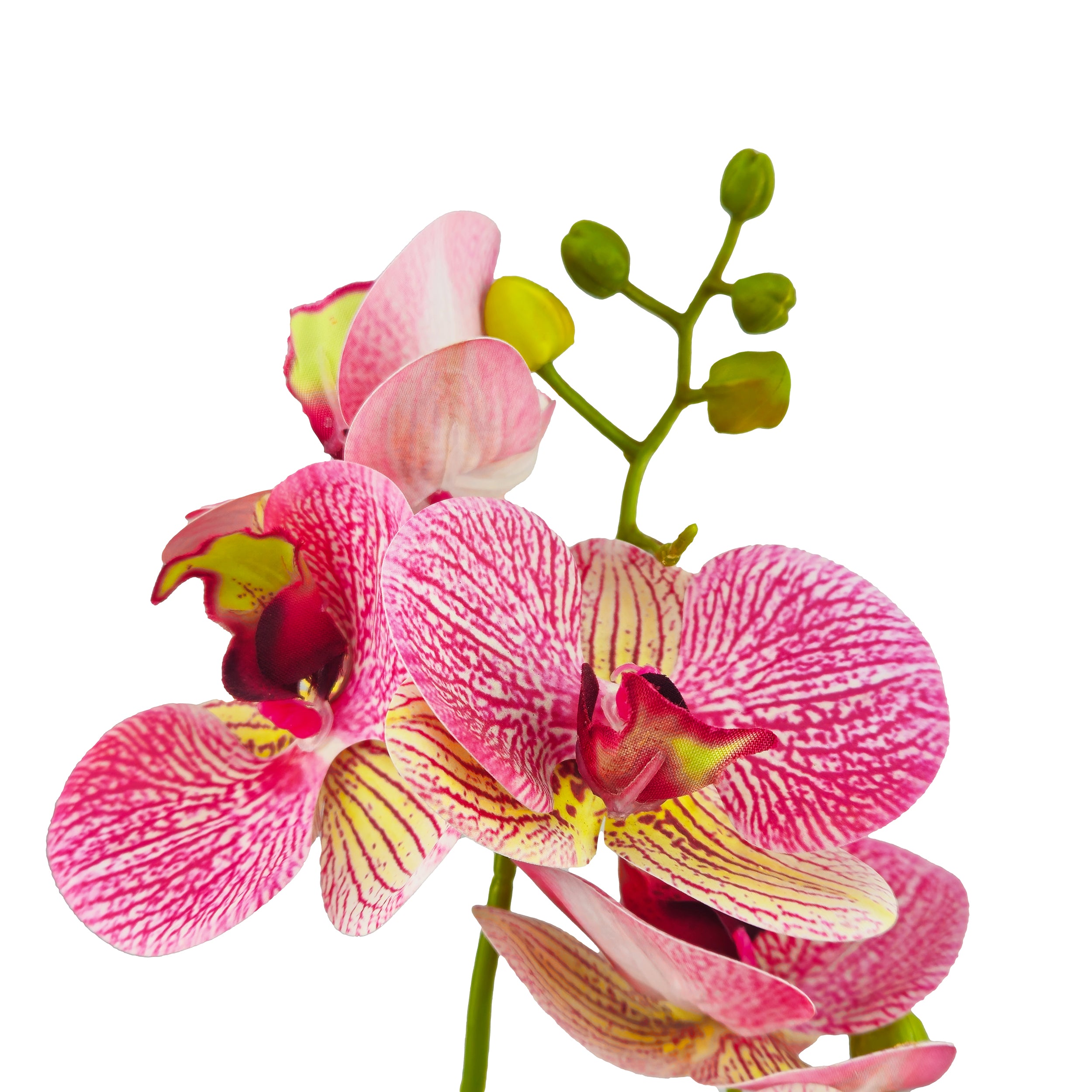 Orchidea artificiale cm 30 con vaso in ceramica