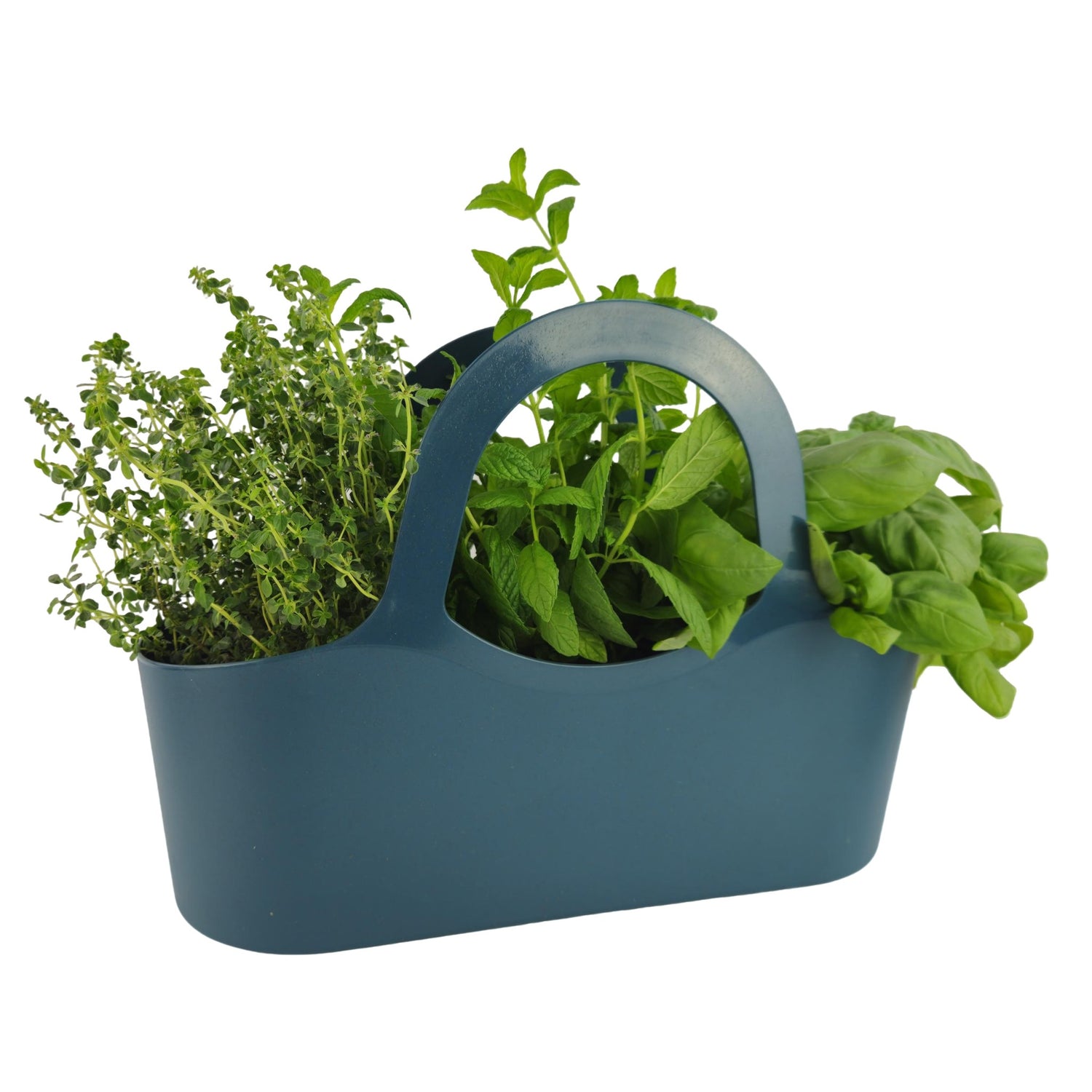 Tera Borsa porta piante aromatiche cm 41x18x31