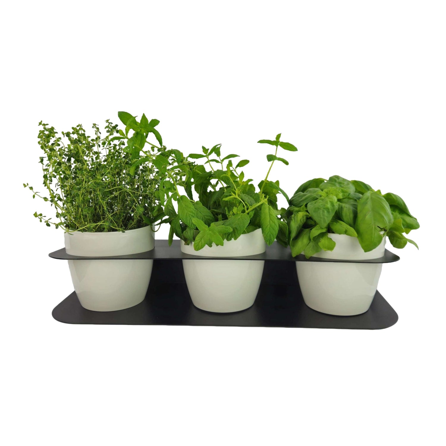 Porta piante aromatiche in metallo cm 58x18x10 da bancone e muro vasi inclusi