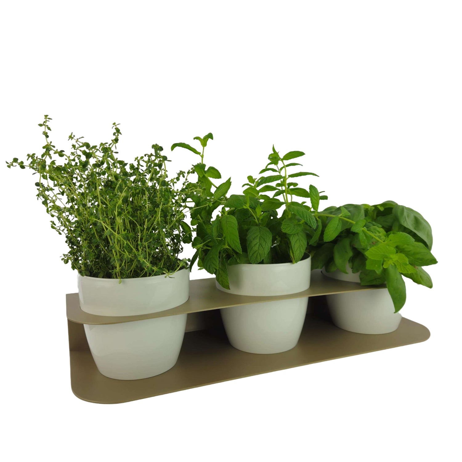 Porta piante aromatiche in metallo cm 58x18x10 da bancone e muro vasi inclusi