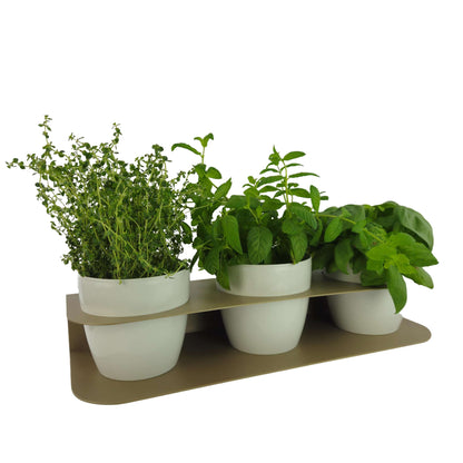 Porta piante aromatiche in metallo cm 58x18x10 da bancone e muro vasi inclusi