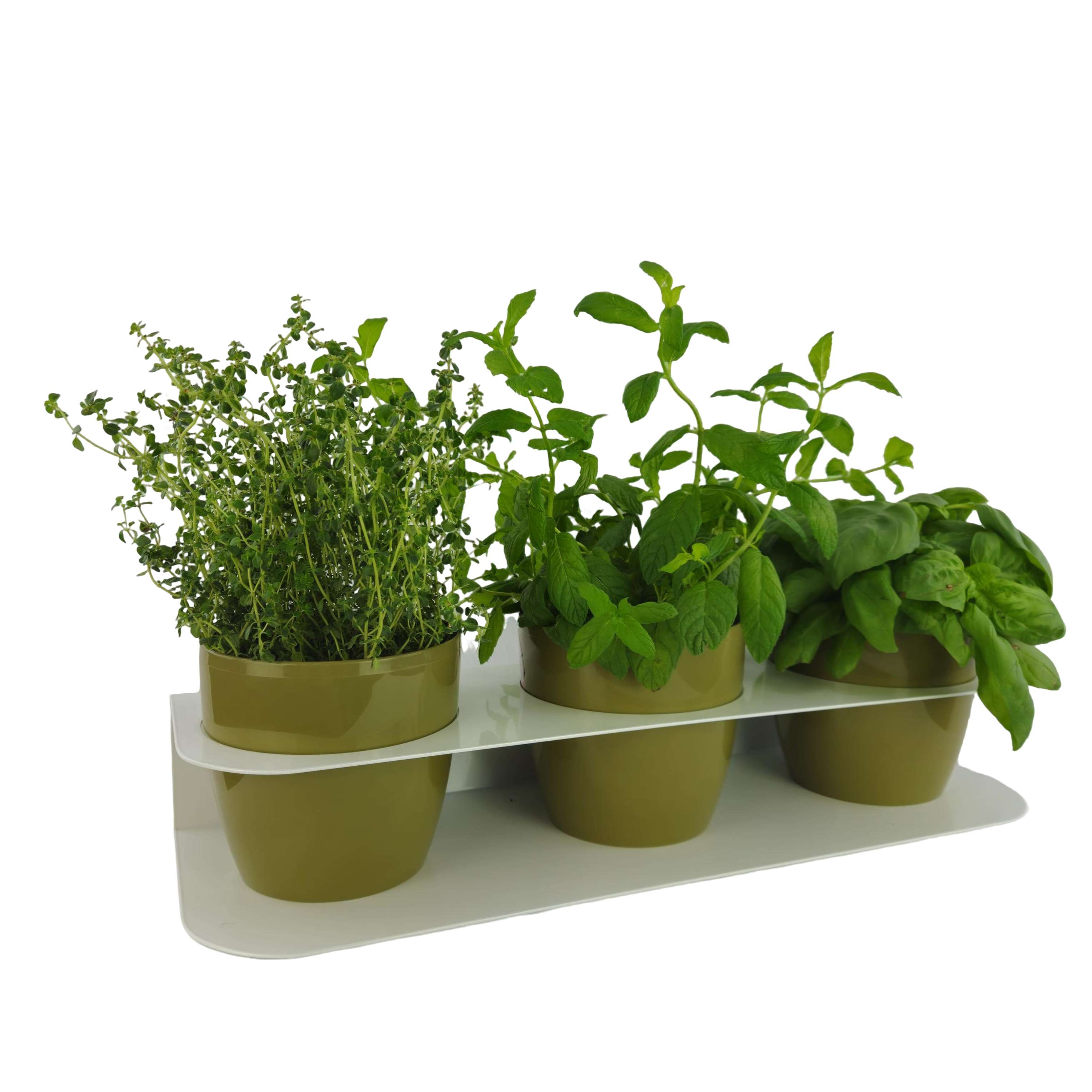 Porta piante aromatiche in metallo cm 58x18x10 da bancone e muro vasi inclusi