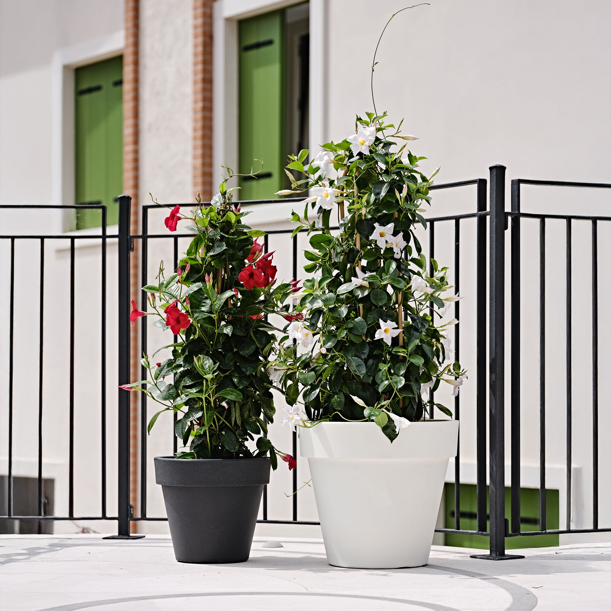 Tera Vaso Grande in Resina Standard One – Vaso da Giardino e Terrazzo