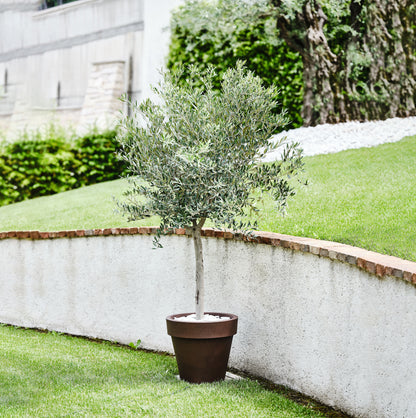 Tera Vaso Grande in Resina Standard One – Vaso da Giardino e Terrazzo