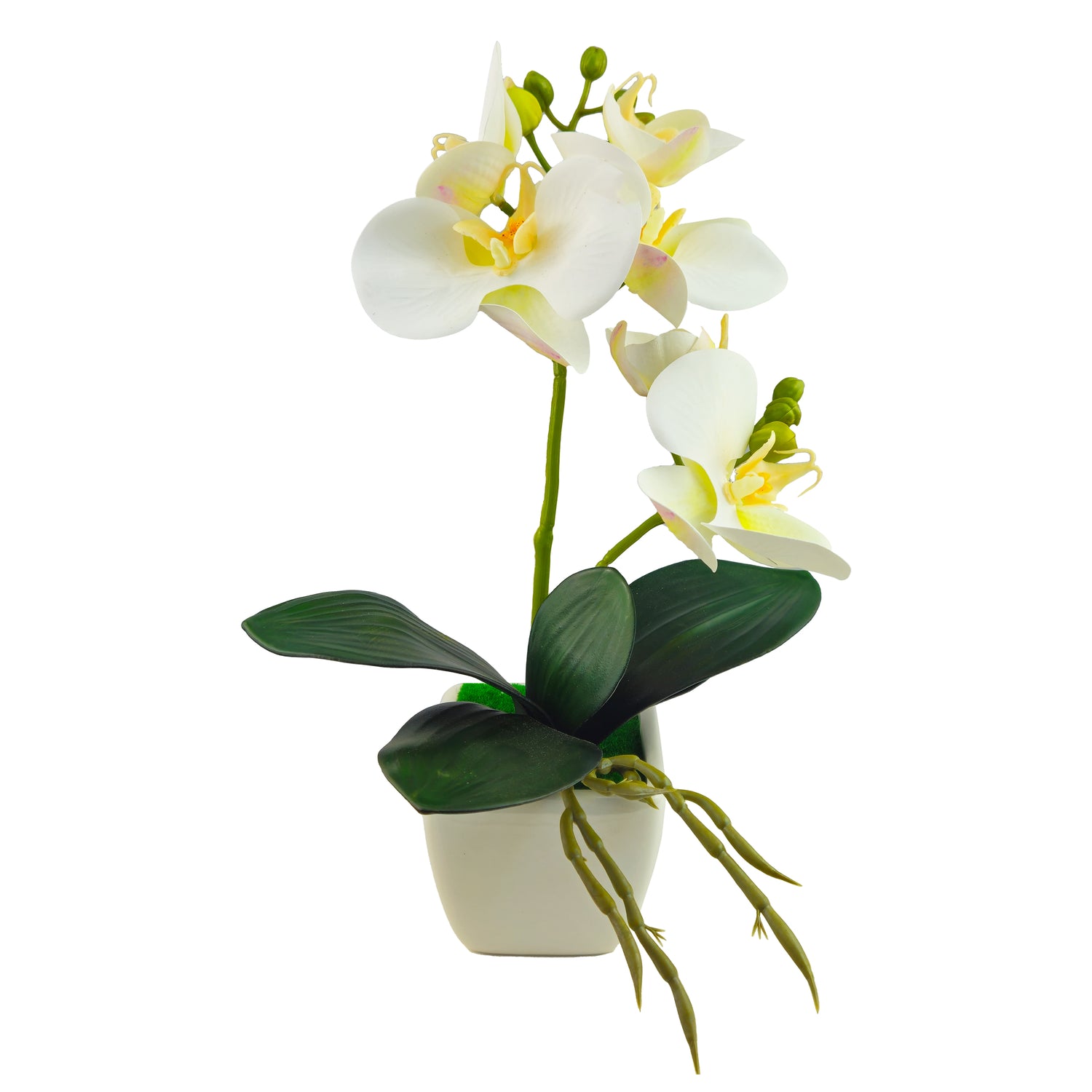 Orchidea artificiale cm 30 con vaso in ceramica