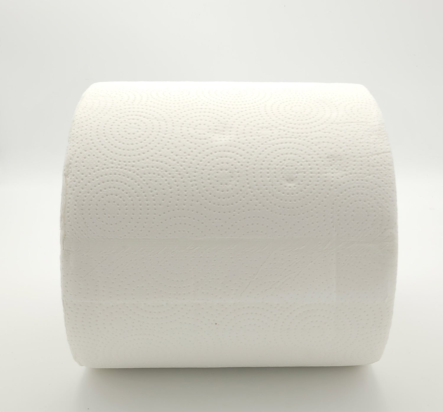 Rotoloni carta da cucina asciugatutto 2 rotoli 2000 strappi totali