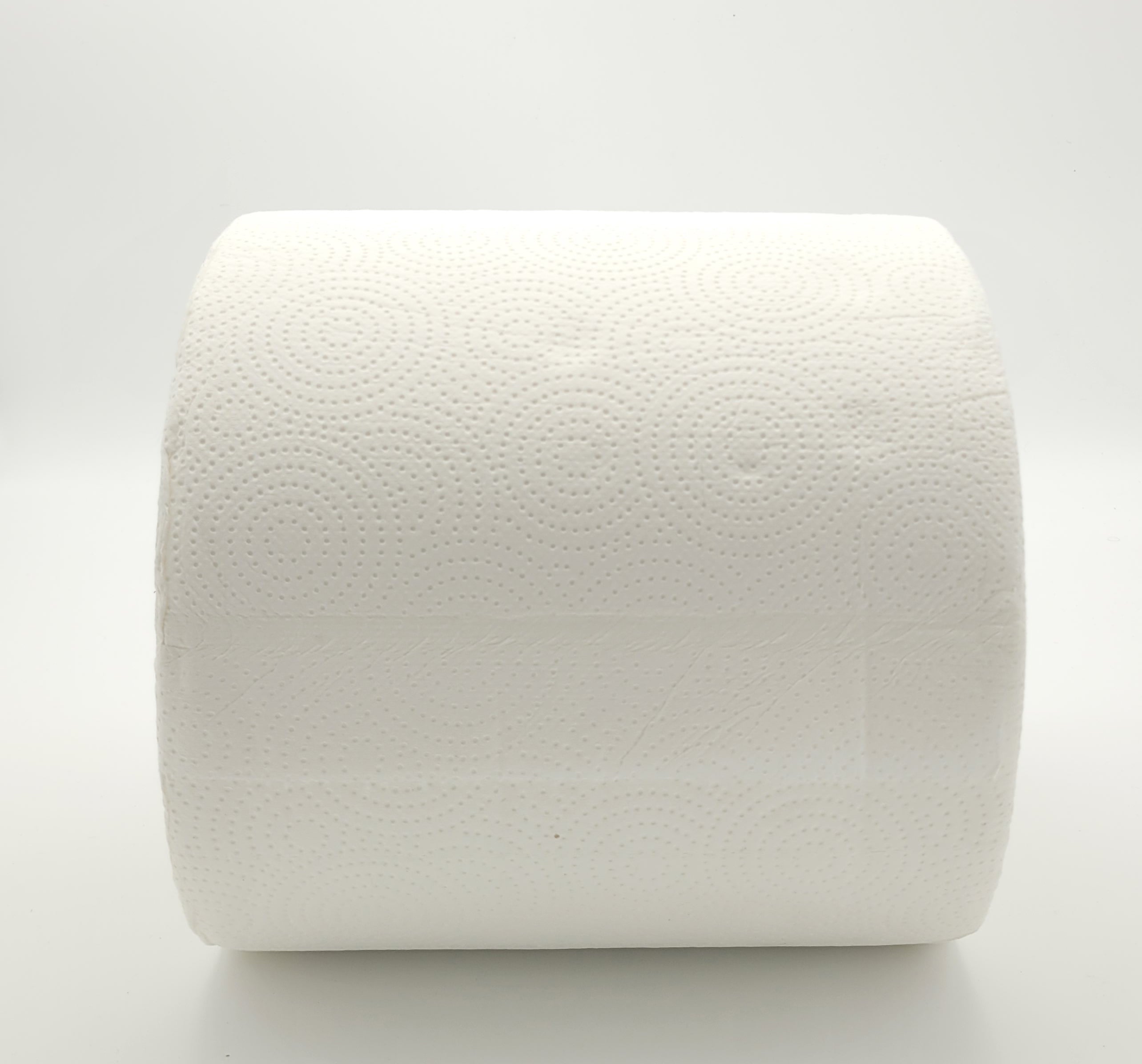 Rotoloni carta da cucina asciugatutto 2 rotoli 2000 strappi totali