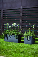 "MODUS CASSETTA e Quadro_P_AMB"