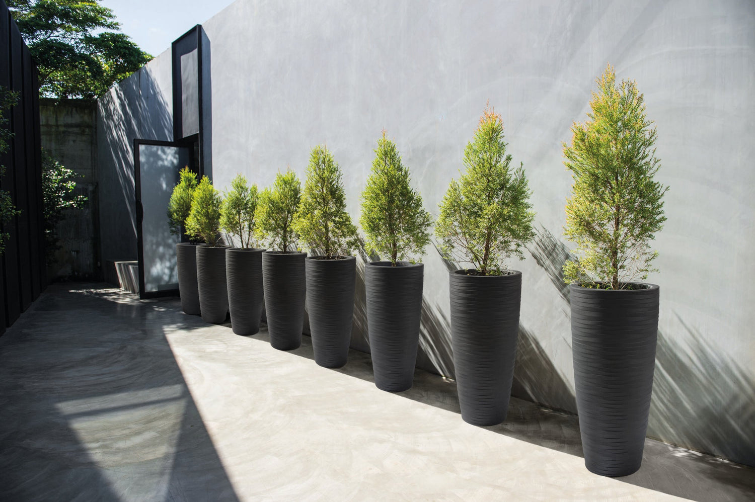"Tree,Pot,Design,For,Exterior,Decoration"
