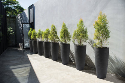 "Tree,Pot,Design,For,Exterior,Decoration"