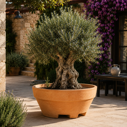 Monacis Ursus 120 cm – Vaso Grande in Resina da 550 Litri