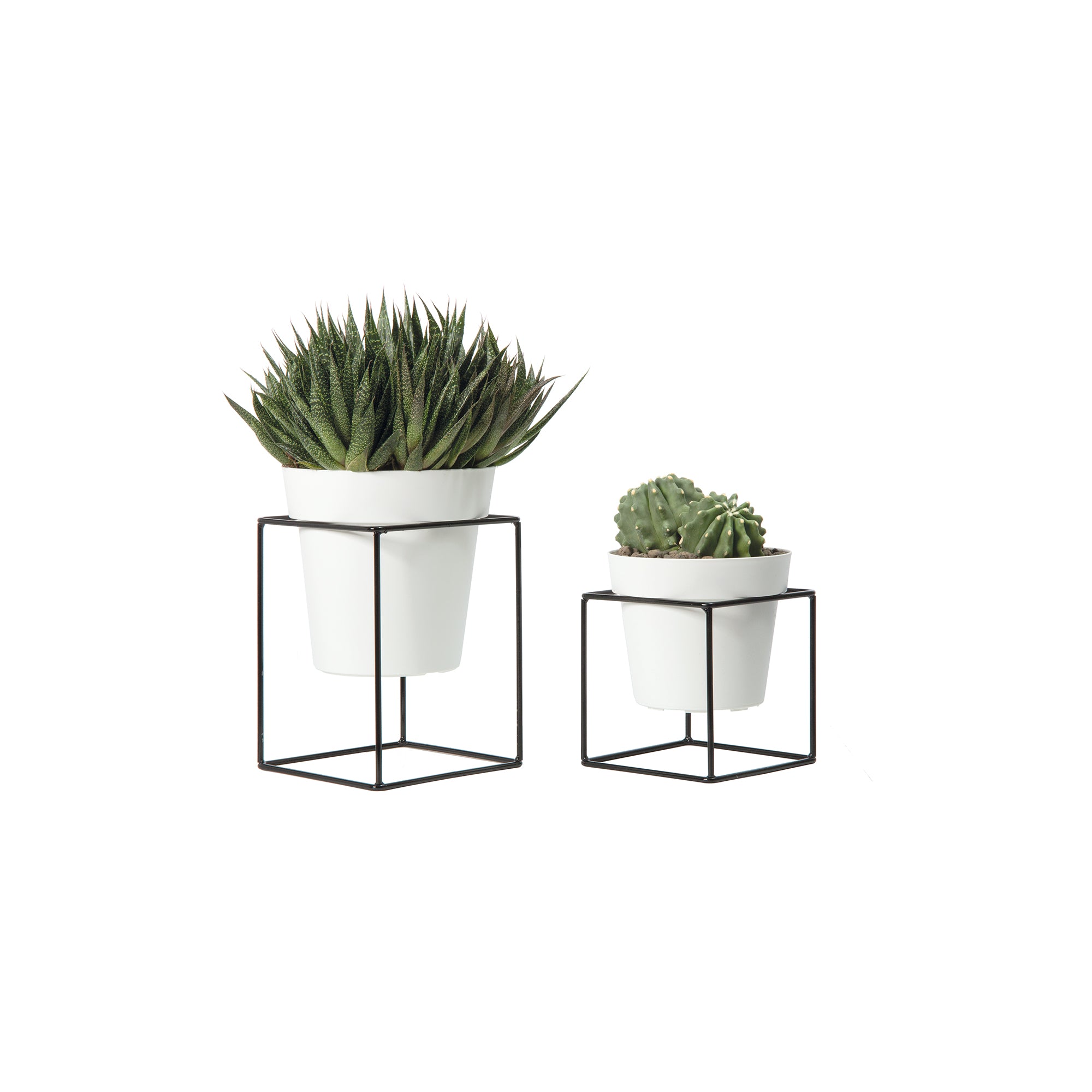 Nicoli set 4 Pezzi alzatina con vaso
