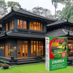 Altea semi per prato ombra kg 1