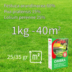 Altea semi per prato ombra kg 1