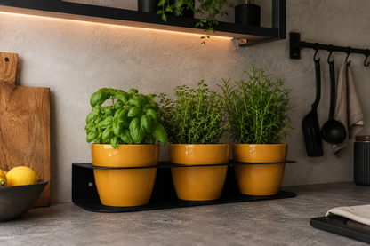Porta Piante Aromatiche Professionale in Acciaio con Vasi Inclusi | Da Banco o Parete