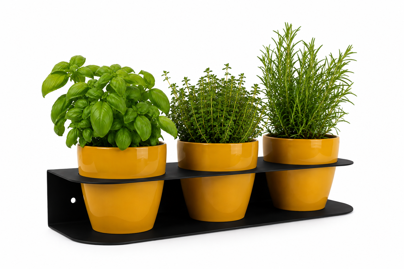 Porta Piante Aromatiche Professionale in Acciaio con Vasi Inclusi | Da Banco o Parete