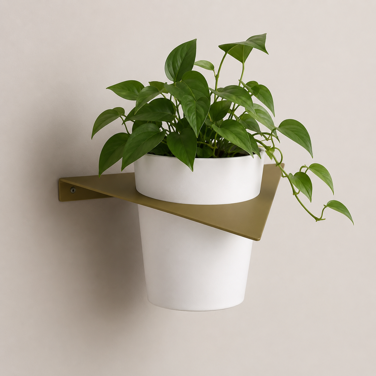 Tecnokit Porta Vasi da Muro in Metallo con Vaso – Design Moderno Made in Italy