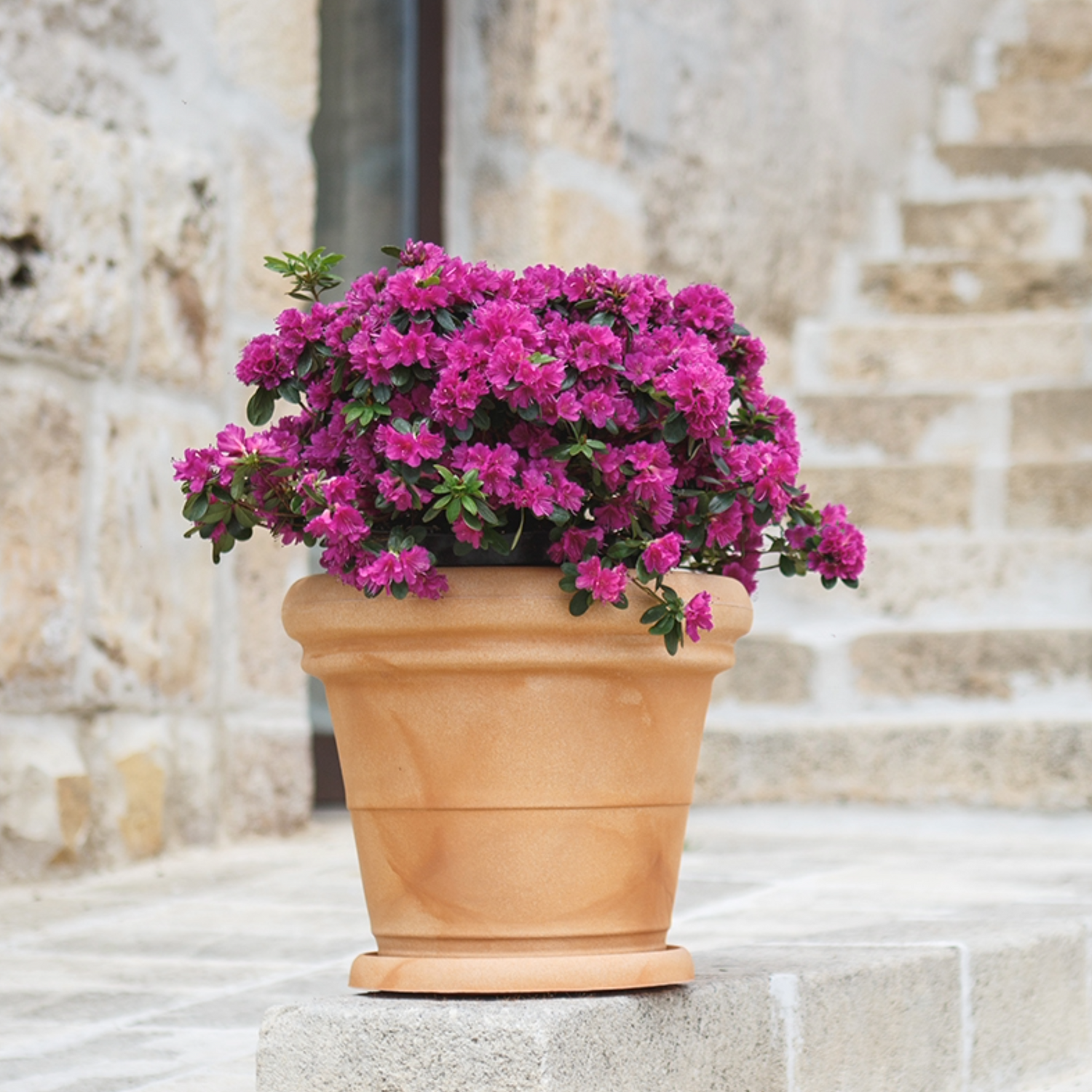 Monacis – Vaso Doppio Bordo Liscio in Resina | Design Elegante per Interni ed Esterni
