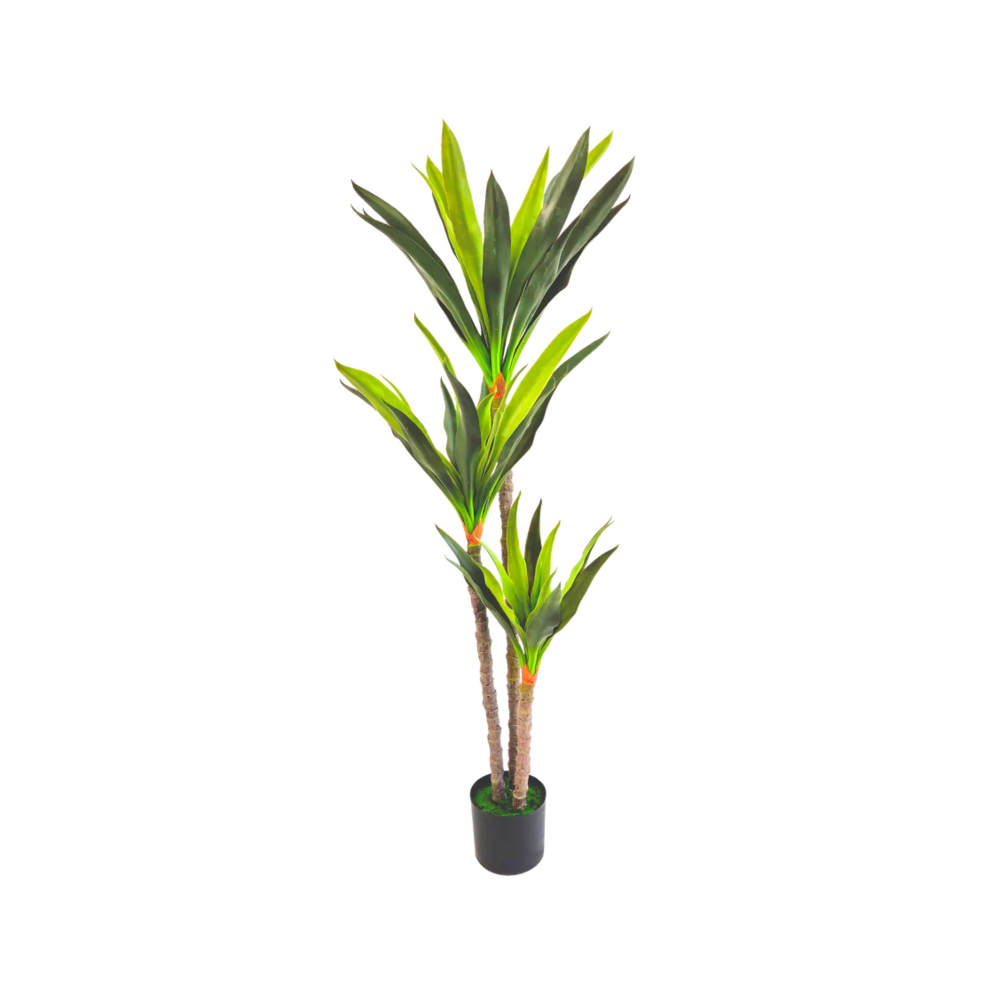 pianta artificiale dracena