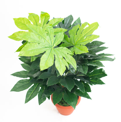 Pianta verde artificiale per interno Dieffenbachia, Filodendro, Palma, Aralia