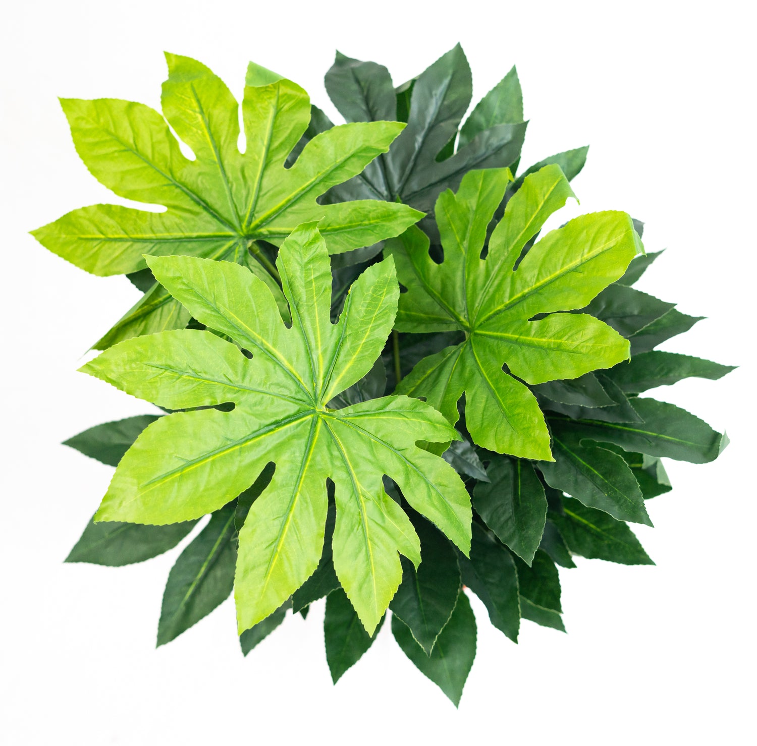 Pianta verde artificiale per interno Dieffenbachia, Filodendro, Palma, Aralia