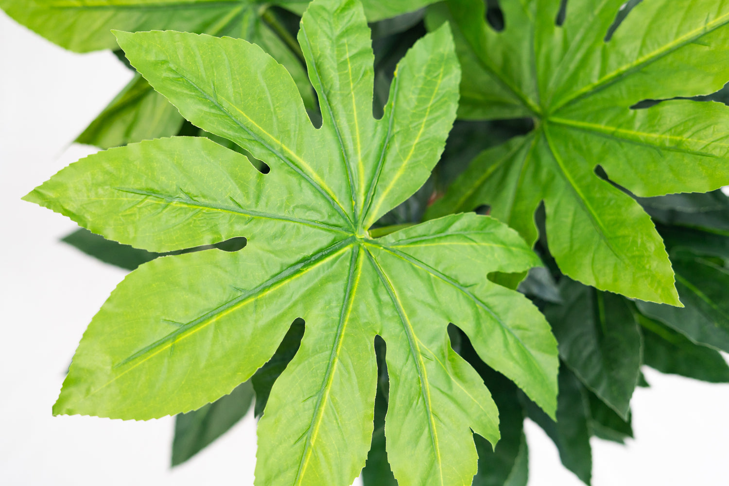 Pianta verde artificiale per interno Dieffenbachia, Filodendro, Palma, Aralia