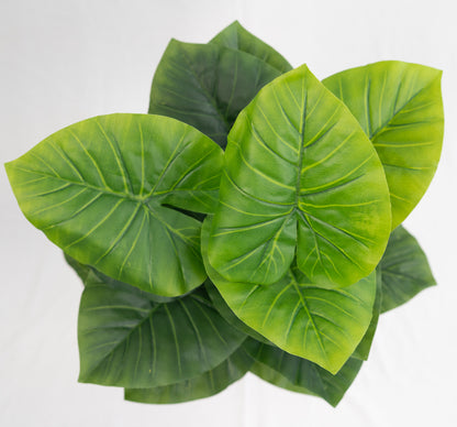 Pianta verde artificiale per interno Dieffenbachia, Filodendro, Palma, Aralia