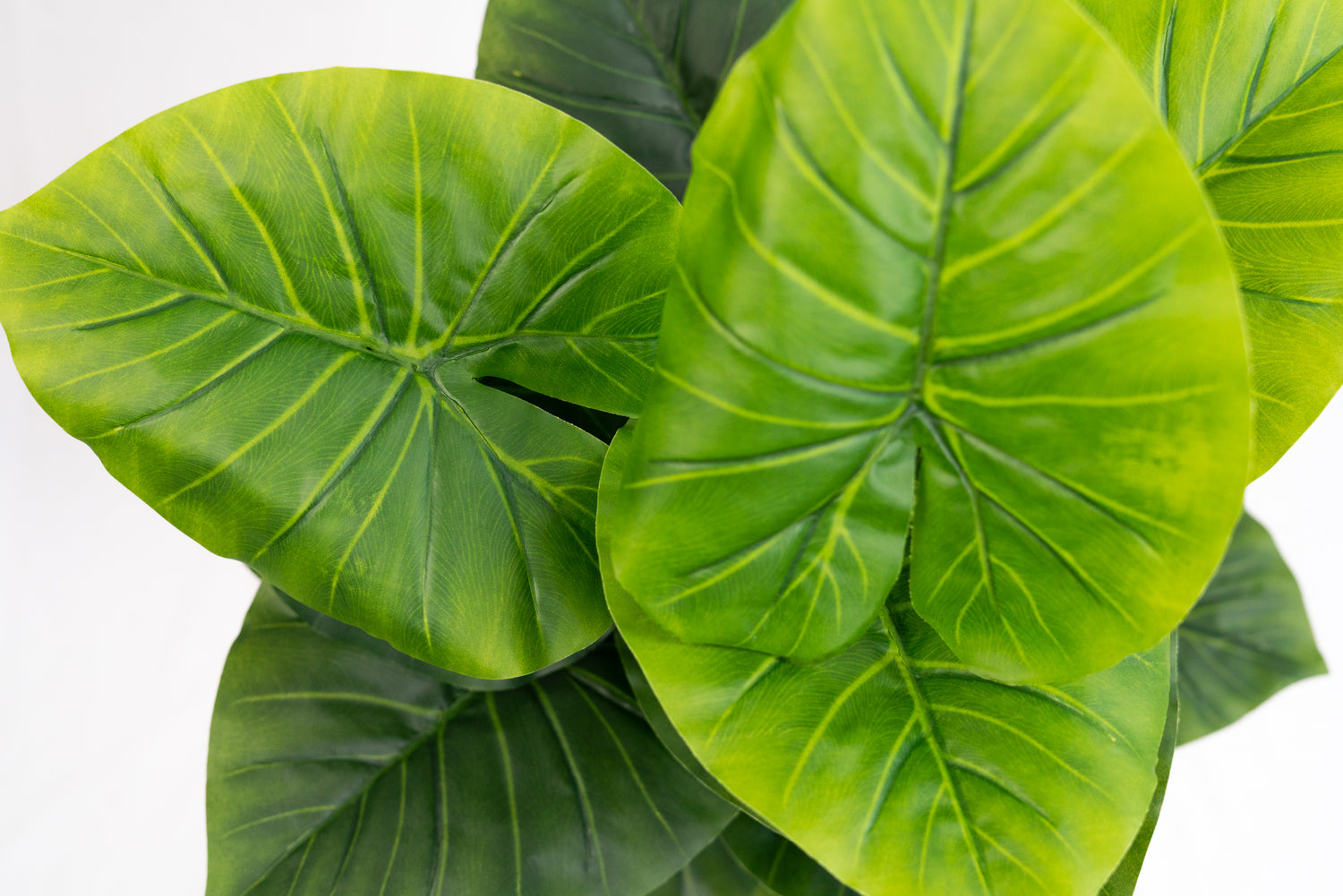 Pianta verde artificiale per interno Dieffenbachia, Filodendro, Palma, Aralia