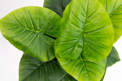 Pianta verde artificiale per interno Dieffenbachia, Filodendro, Palma, Aralia