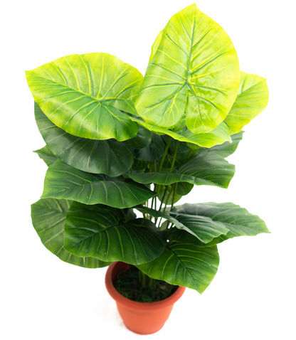Pianta verde artificiale per interno Dieffenbachia, Filodendro, Palma, Aralia