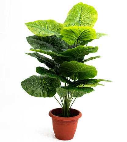 Pianta verde artificiale per interno Dieffenbachia, Filodendro, Palma, Aralia
