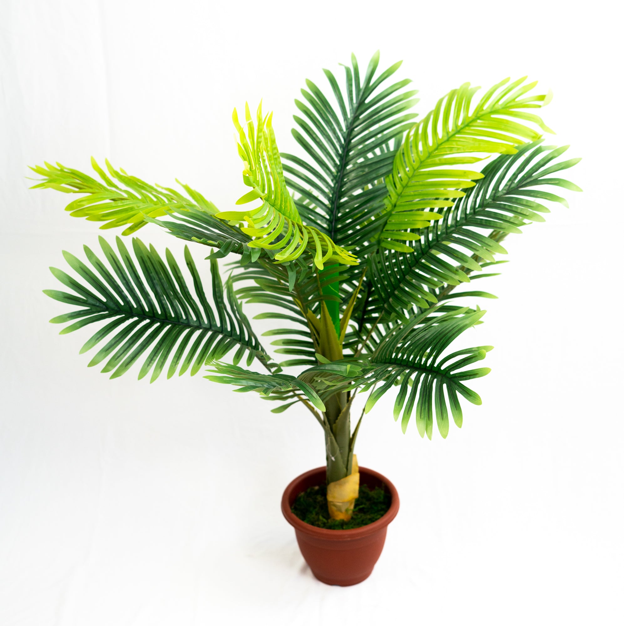 Pianta verde artificiale per interno Dieffenbachia, Filodendro, Palma, Aralia