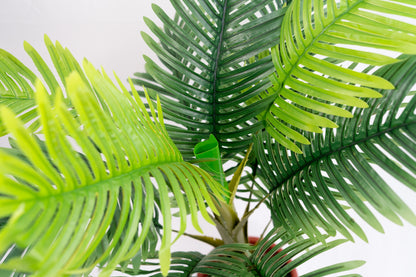 Pianta verde artificiale per interno Dieffenbachia, Filodendro, Palma, Aralia