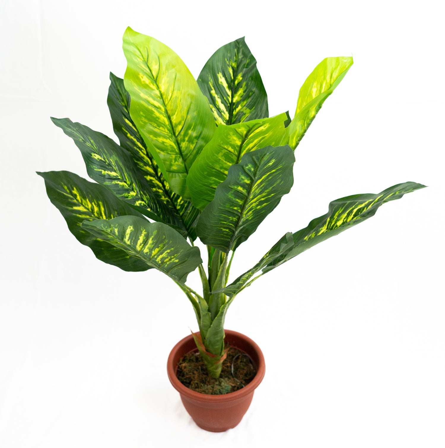 Pianta verde artificiale per interno Dieffenbachia, Filodendro, Palma, Aralia