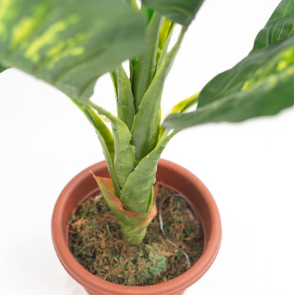 Pianta verde artificiale per interno Dieffenbachia, Filodendro, Palma, Aralia