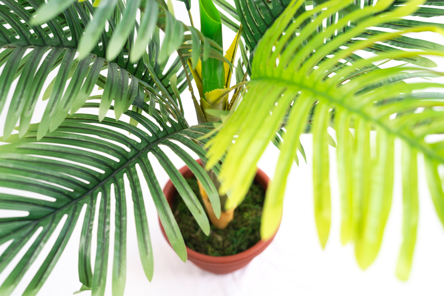 Pianta verde artificiale per interno Dieffenbachia, Filodendro, Palma, Aralia