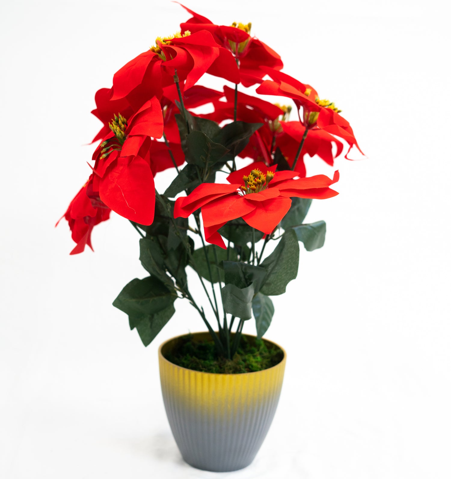 Pianta verde artificiale per interno Dieffenbachia, Filodendro, Palma, Aralia