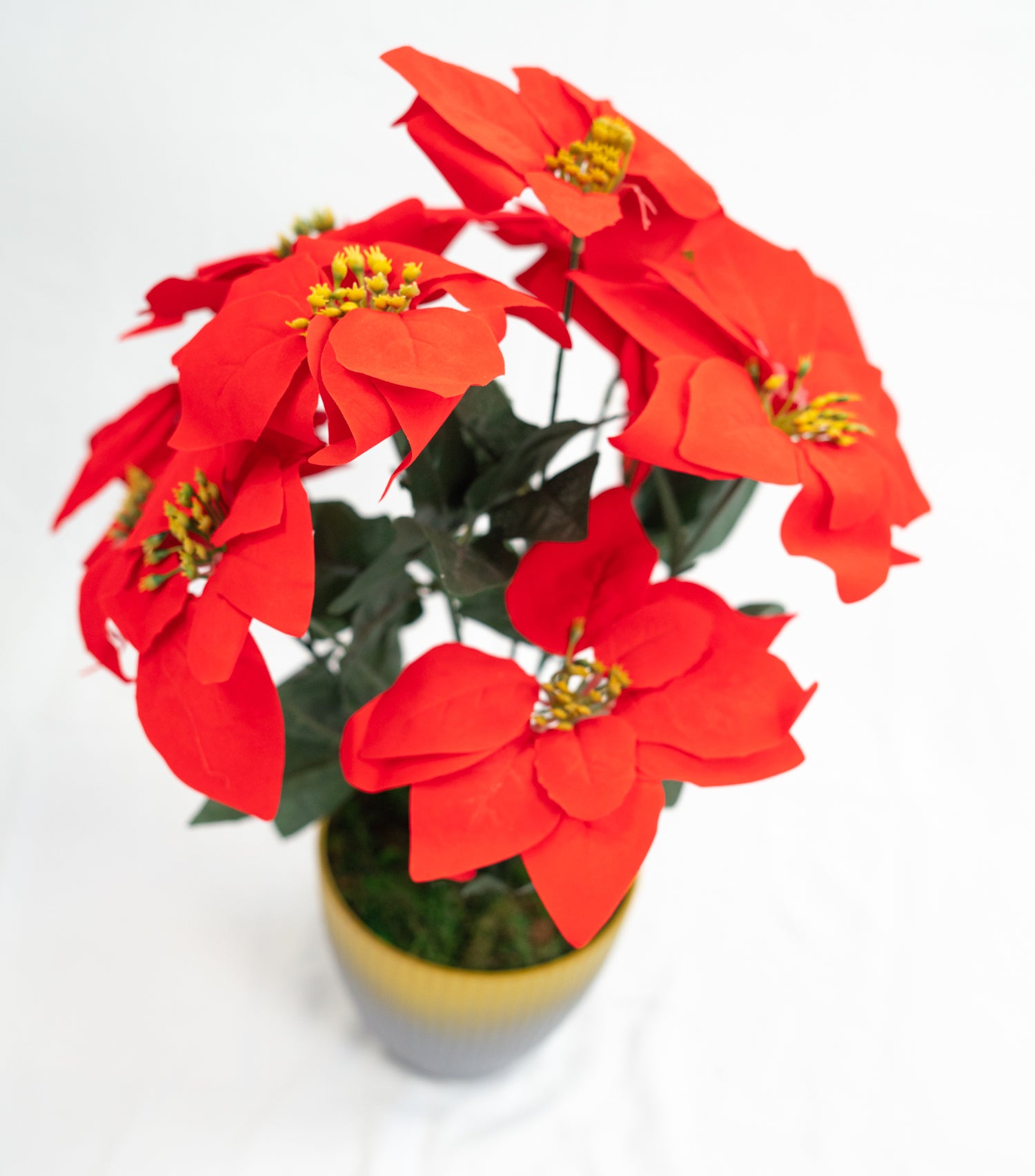 Pianta verde artificiale per interno Dieffenbachia, Filodendro, Palma, Aralia