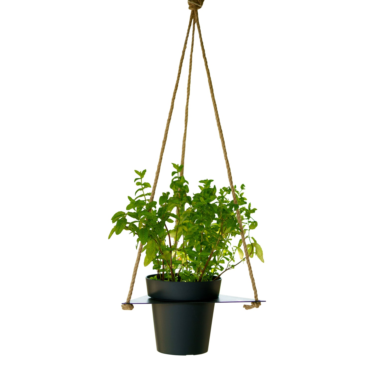 Tecnokit Porta vasi sospesi per aromatiche con vaso cm 16 incluso