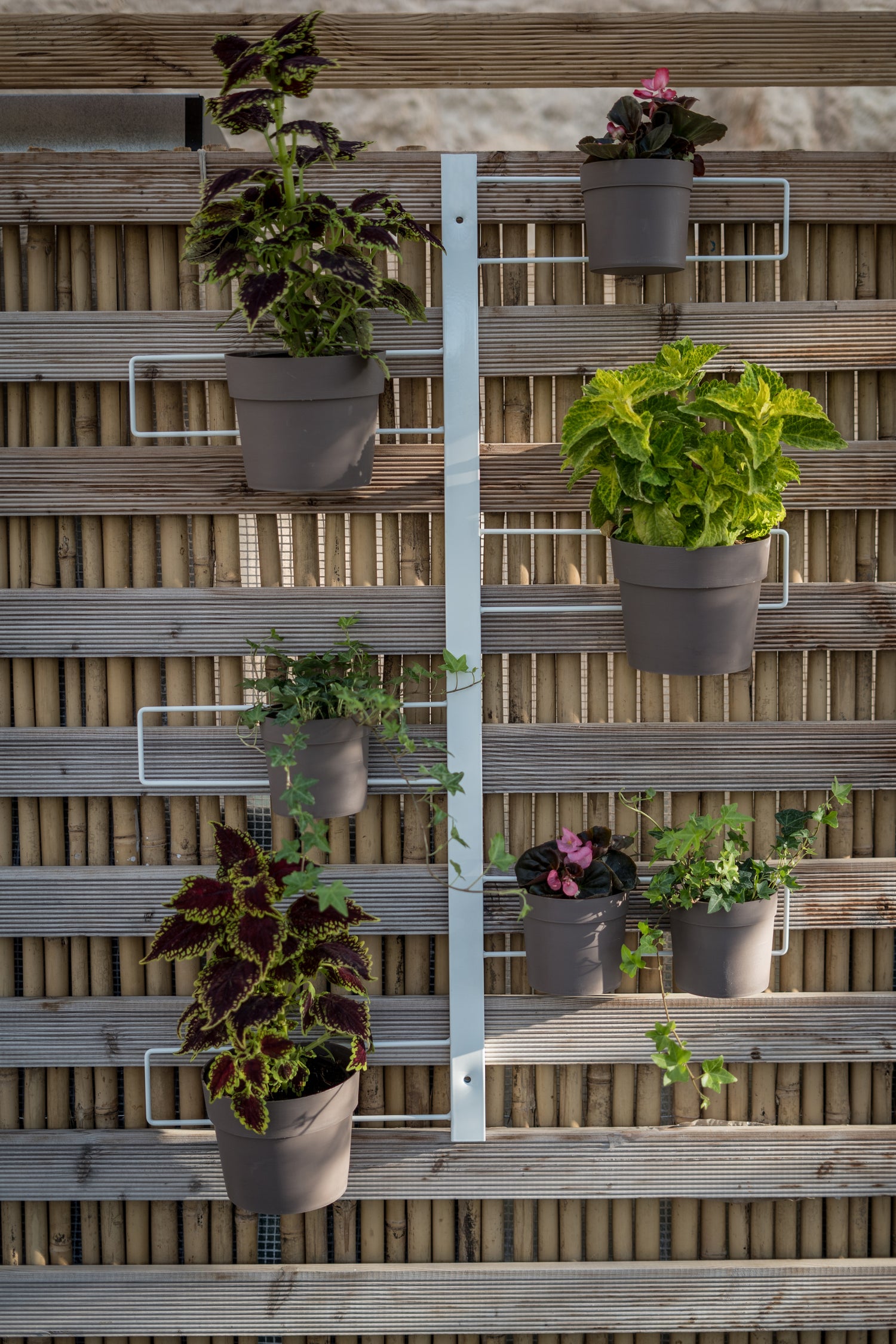 Tecnokit fioriera verticale Gemma cm 70x100 in acciaio, completa di 6 vasi pensili Comby diametro cm 14 e 6 vasi cm 10