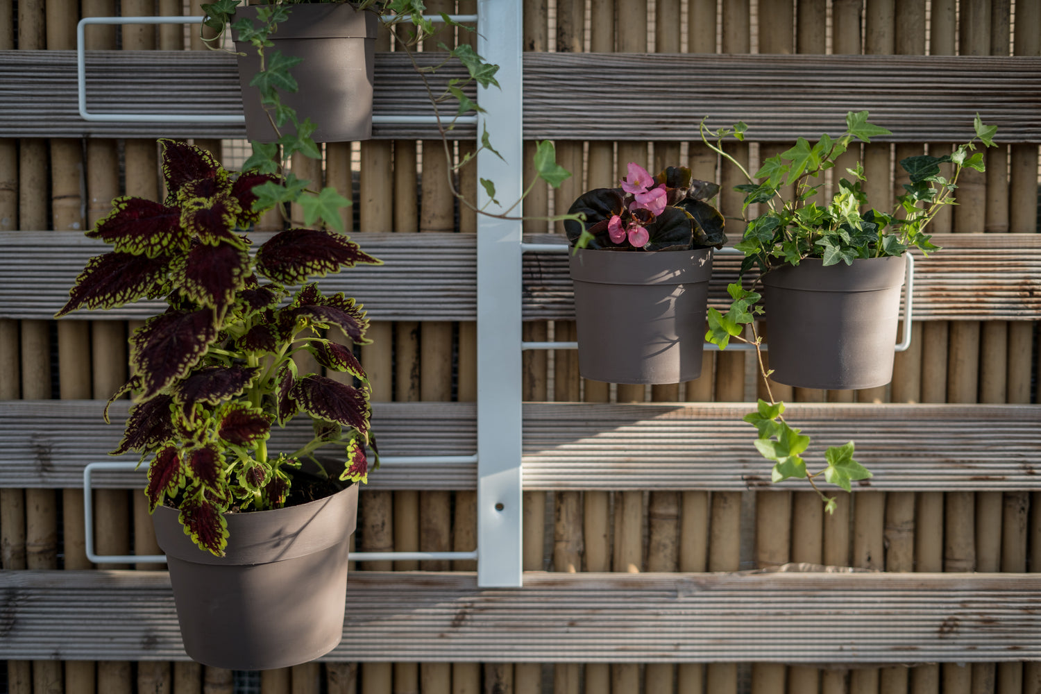 Tecnokit fioriera verticale Gemma cm 70x100 in acciaio, completa di 6 vasi pensili Comby diametro cm 14 e 6 vasi cm 10