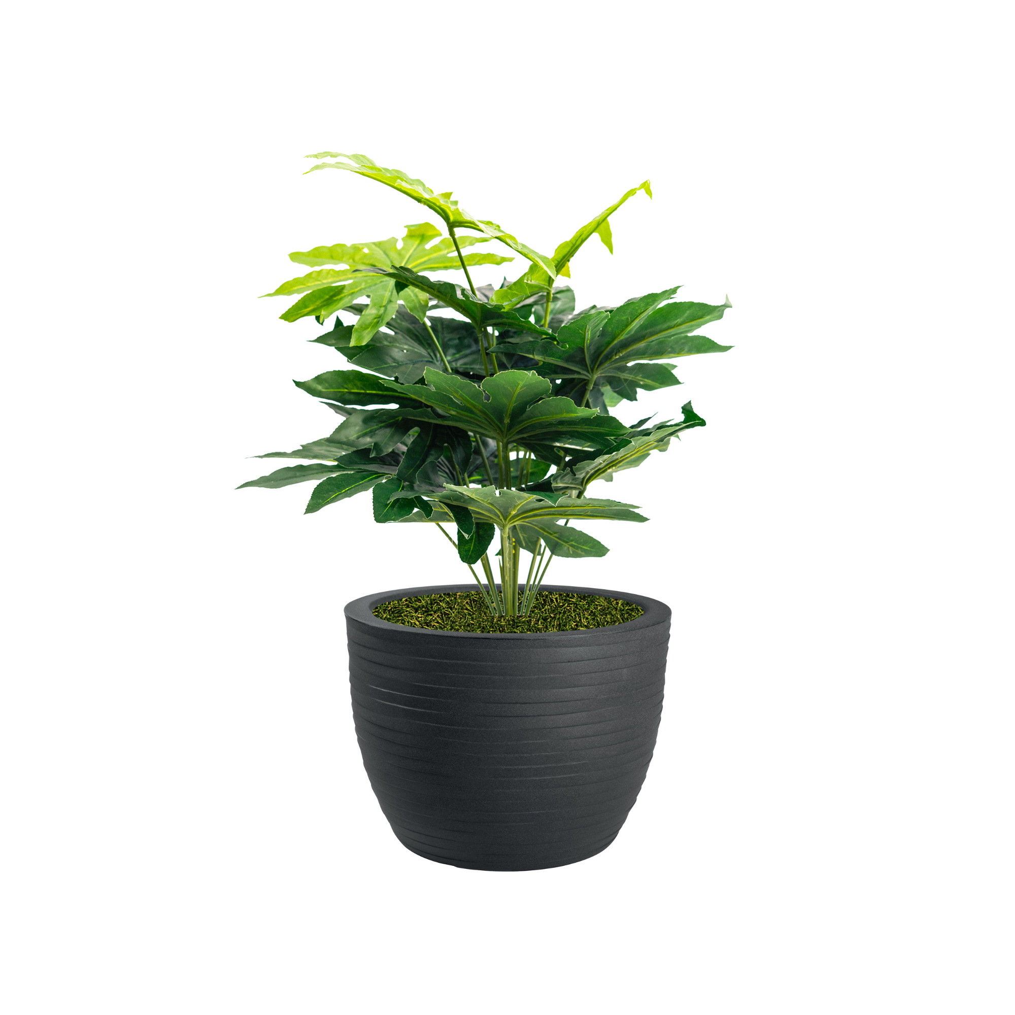 Pianta artificiale con vaso nicoli Hera incluso