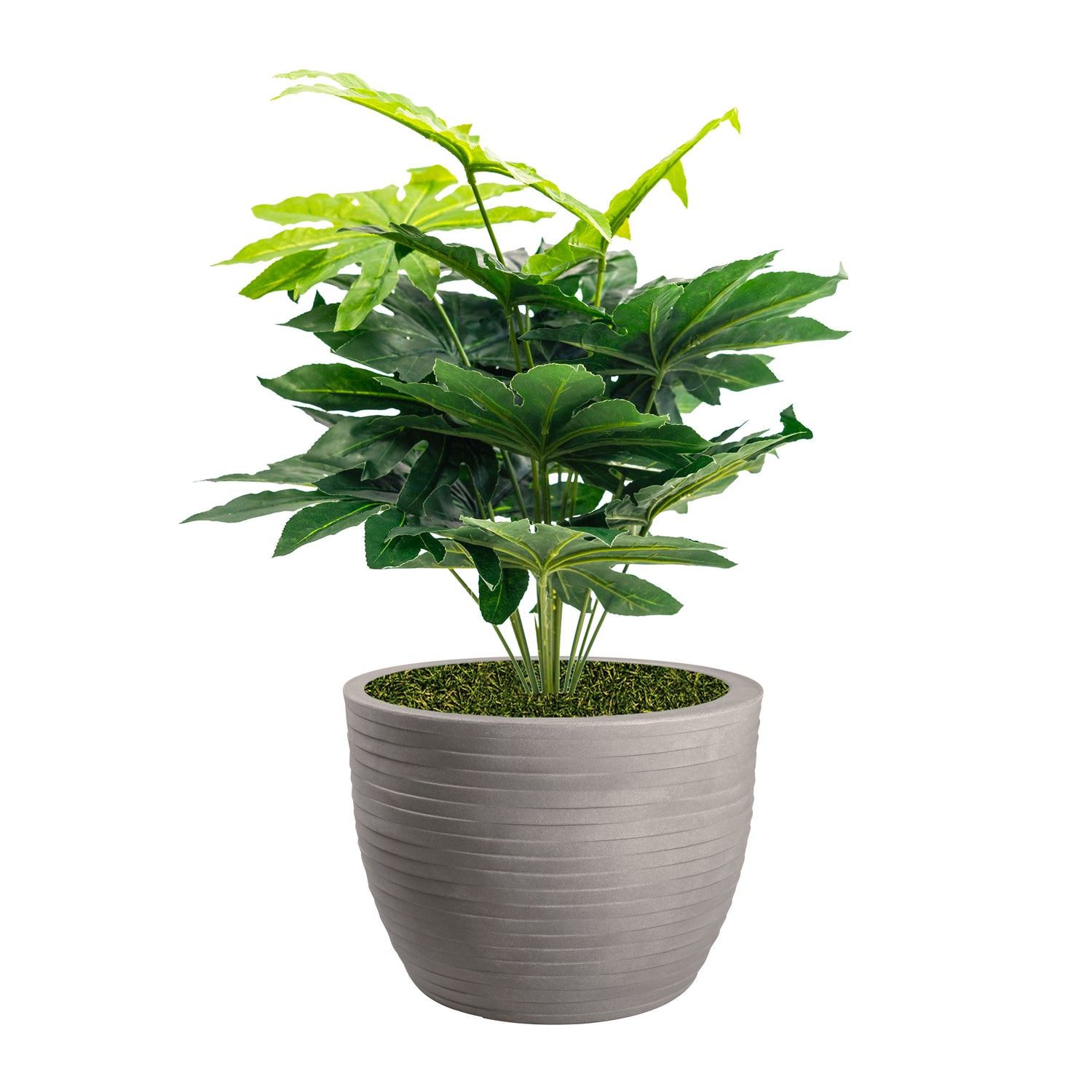 Pianta artificiale con vaso nicoli Hera incluso