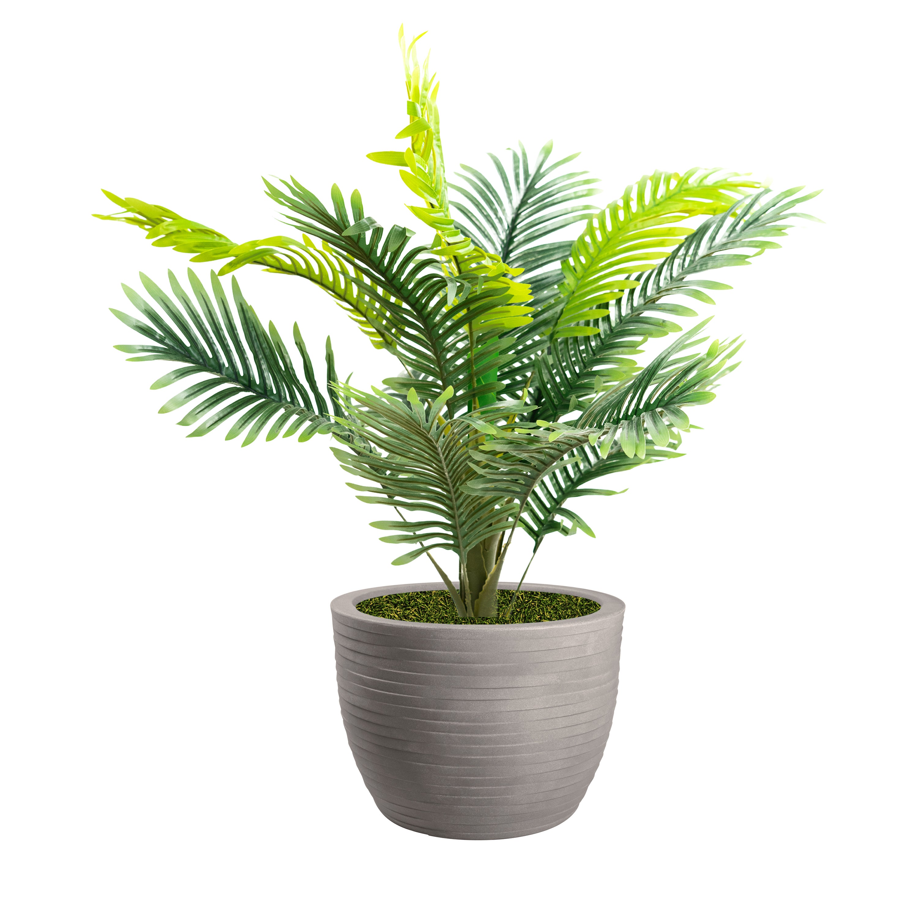 Pianta artificiale con vaso nicoli Hera incluso