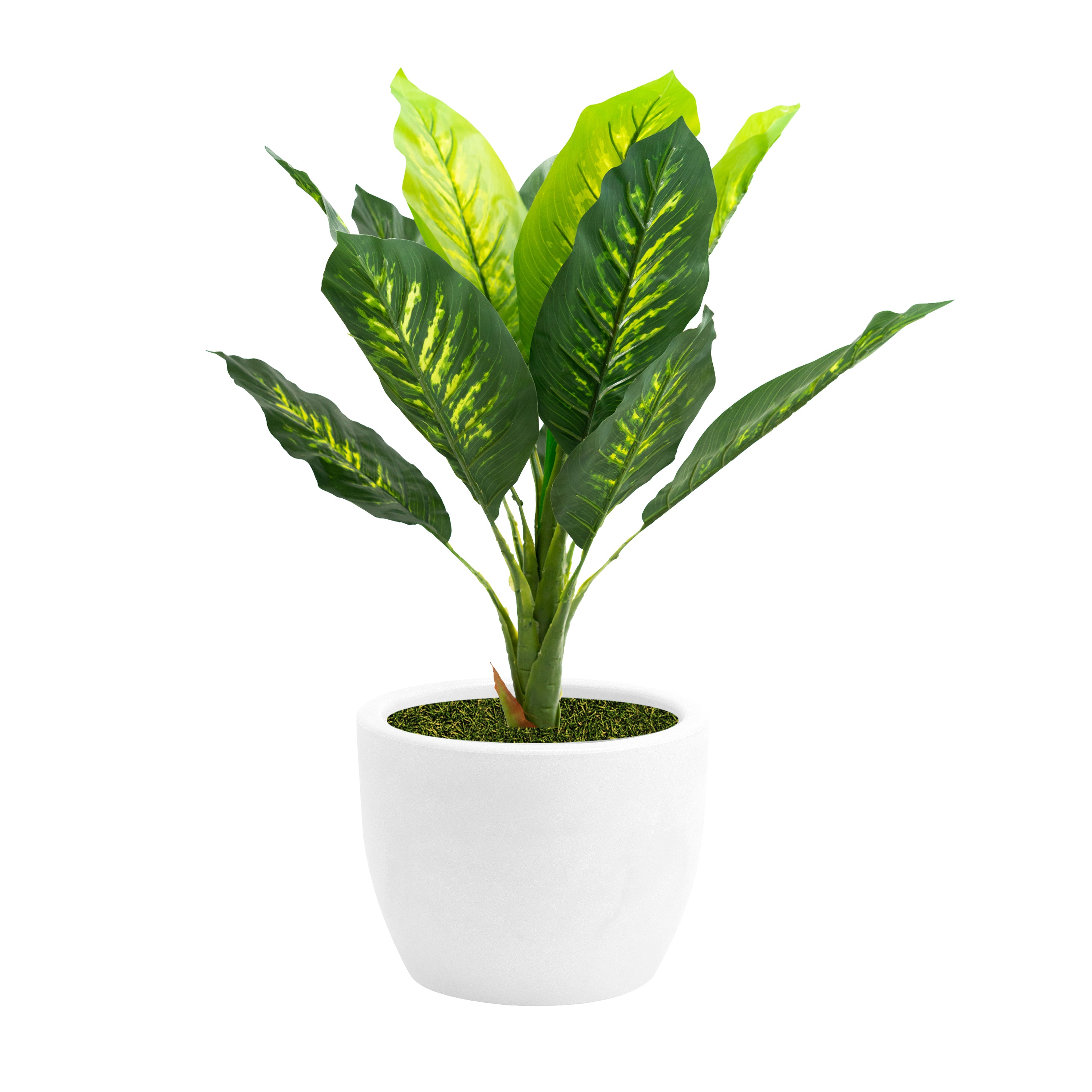 Pianta artificiale con vaso nicoli Hera incluso